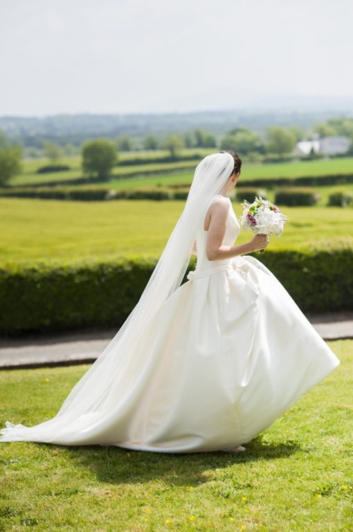 Pronovias Barcaza Wedding Dress - Image 6